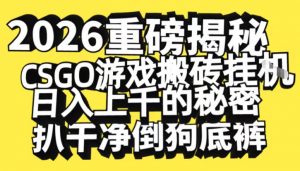 2026开年重磅解密，CSGO游戏搬砖挂G日入1k+的秘密，把倒狗的底裤扒干【揭秘】-易得个人分享