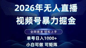 2026最新视频号无人直播掘金，全网首发，小白可以玩，长期稳定日入1k+【揭秘】-易得个人分享