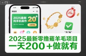 2025最新零撸薅羊毛项目，纯手机操作，20秒一单，无任何门槛，一天200+做就有【揭秘】-易得个人分享