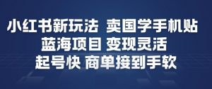 小红书新玩法，卖国学手机贴，蓝海项目，变现灵活，起号快，商单接到手软-易得个人分享