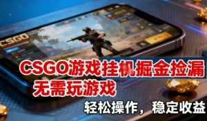 CSGO游戏挂G掘金捡漏，不需要玩游戏，操作简单，收益稳定【揭秘】-易得个人分享