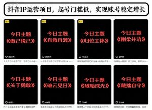 抖音IP运营项目，抖音今日主题玩法，起号门槛低，实现账号稳定增长-易得个人分享