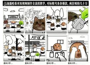 卤蛋哈基米短视频制作全流程教学，条条爆款，疯狂吸粉几十万-易得个人分享