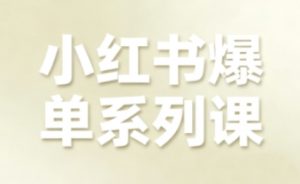 小红书爆单系列课，聚焦小红书电商全链路增长（更新）-易得个人分享