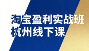 淘宝盈利实战班杭州线下课12月26-28日（音频+字幕），帮你掌握SOP流程+12门核心技术-易得个人分享