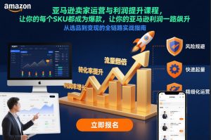 亚马逊卖家运营与利润提升课程，让你的每个SKU都成为爆款，让你的亚马逊利润一路飙升（更新12月）-易得个人分享