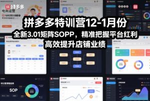 拼多多特训营12-1月份，全新3.01矩阵Sop，精准把握平台红利，高效提升店铺业绩-易得个人分享
