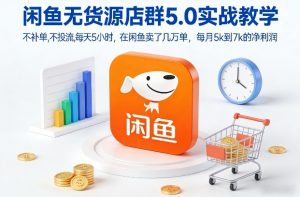 闲鱼无货源店群5.0实战教学，不补单，不投流，每天5小时，在闲鱼卖了几万单，每月5k到7k的净利润-易得个人分享