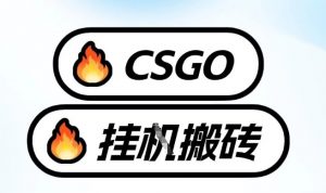 真全网独家CSGO挂G，最新玩法,单日捡漏1K+，不用电脑，不用打游戏【揭秘】-易得个人分享