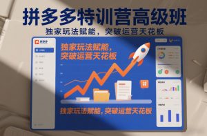 拼多多特训营高阶班，独家玩法赋能，突破运营天花板（更新26年1月）-易得个人分享