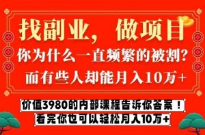 价值3980的网创内部课程，告诉你互联网创业月入10个W的秘密【揭秘】-易得个人分享