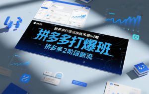 拼多多打爆班原创技术第54期，拼多多2阶段断流-易得个人分享