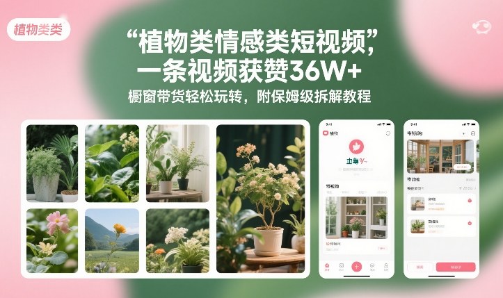 植物类情感类短视频，一条视频获赞36W+，橱窗带货轻松玩转，附保姆级拆解教程-易得个人分享