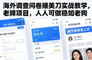 海外调查问卷賺美刀实战教学，老牌项目，人人可做稳如老狗-易得个人分享