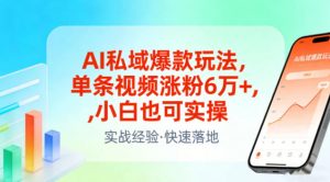 AI私域爆款玩法，单条视频涨粉6W+，小白也可实操-易得个人分享