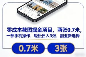 零成本截图掘金项目，两张0.7米，一部手机操作，轻松日入3张，副业新选择【揭秘】-易得个人分享