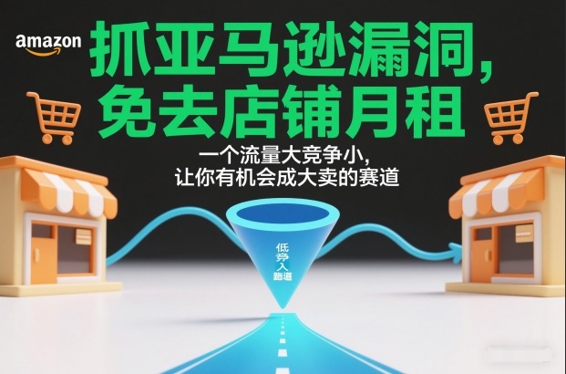 抓亚马逊漏洞,免去店铺月租,一个流量大竞争小,让你有机会成大卖的赛道-易得个人分享