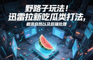 野路子玩法！迅雷拉新吃瓜类打法，截流自热以及后端处理-第一资源库